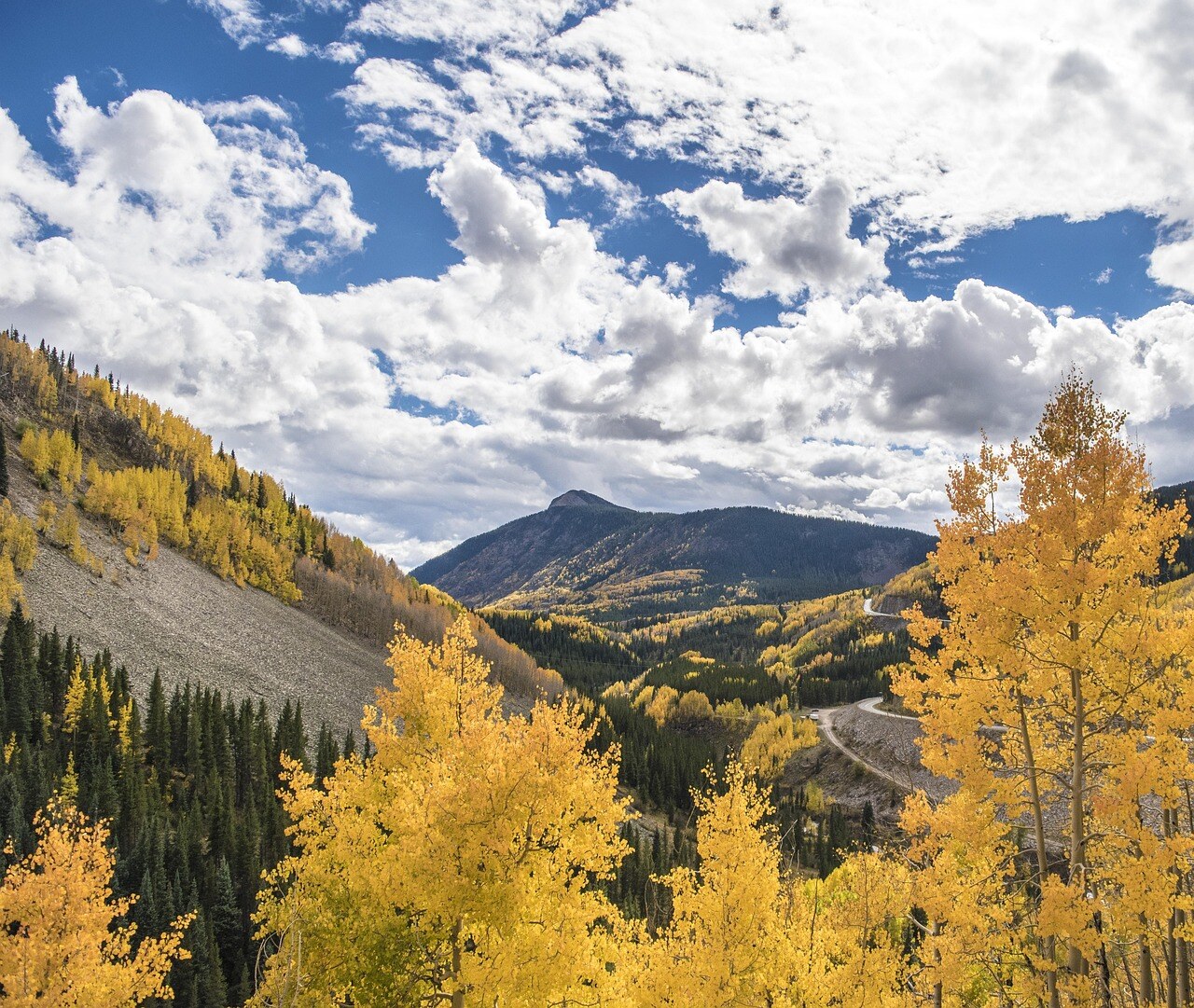 Autumn color in a Rocky Mountain garden