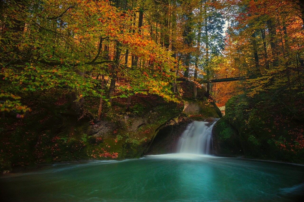 Autumn color in a Rocky Mountain garden