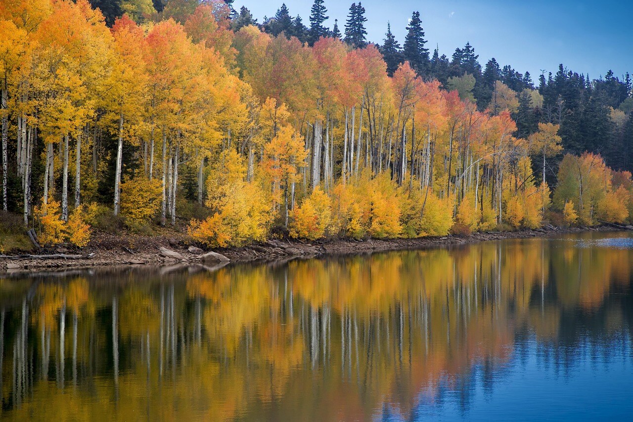 Autumn color in a Rocky Mountain garden