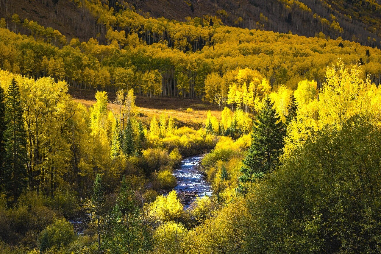 Autumn color in a Rocky Mountain garden