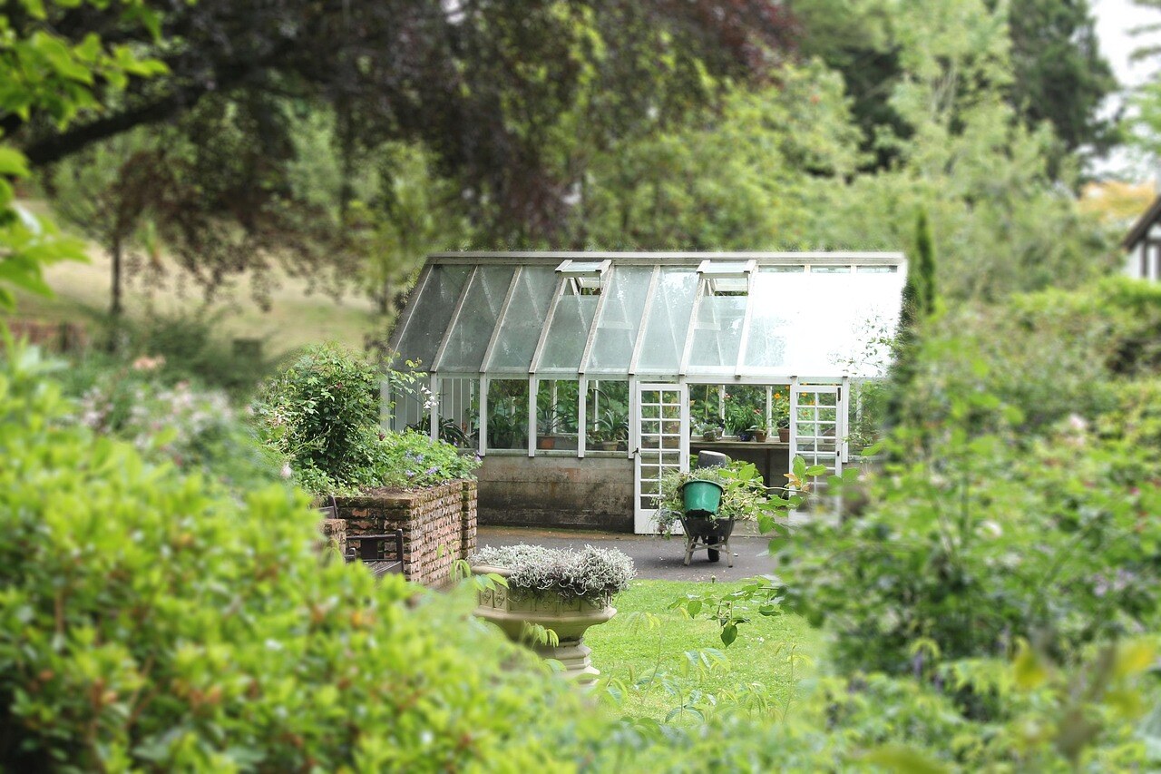 A lush Colorado mountain garden in summer