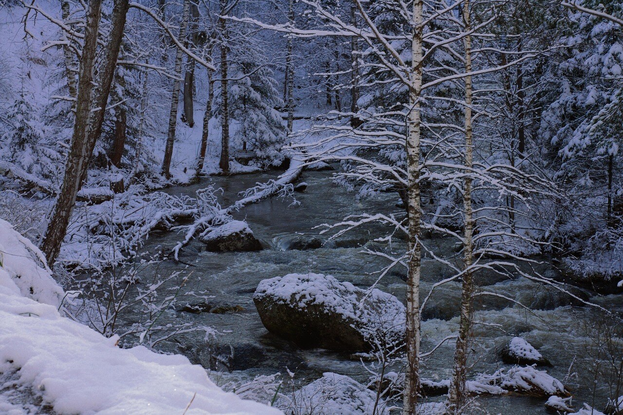 A Colorado mountain garden under winter snow