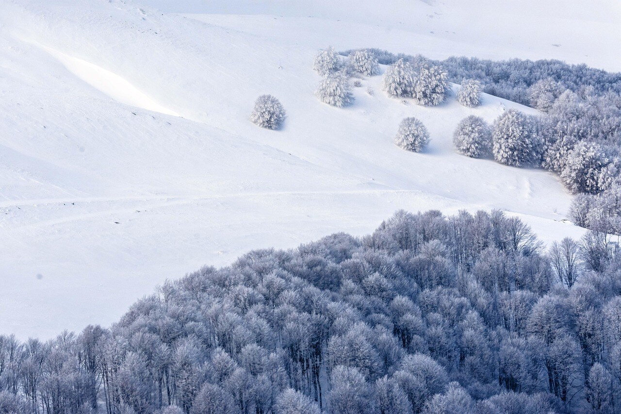 A Colorado mountain garden under winter snow