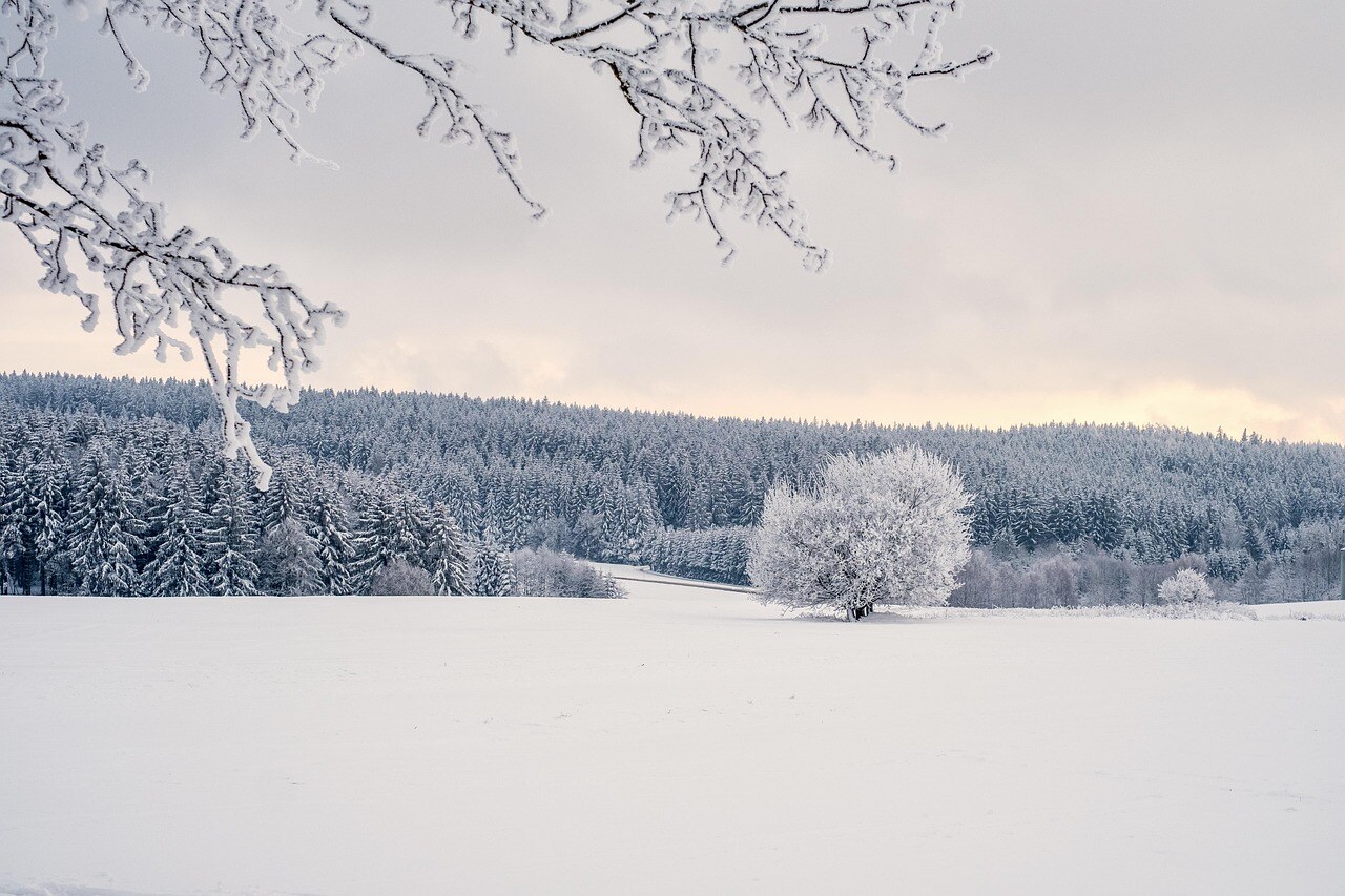 A Colorado mountain garden under winter snow