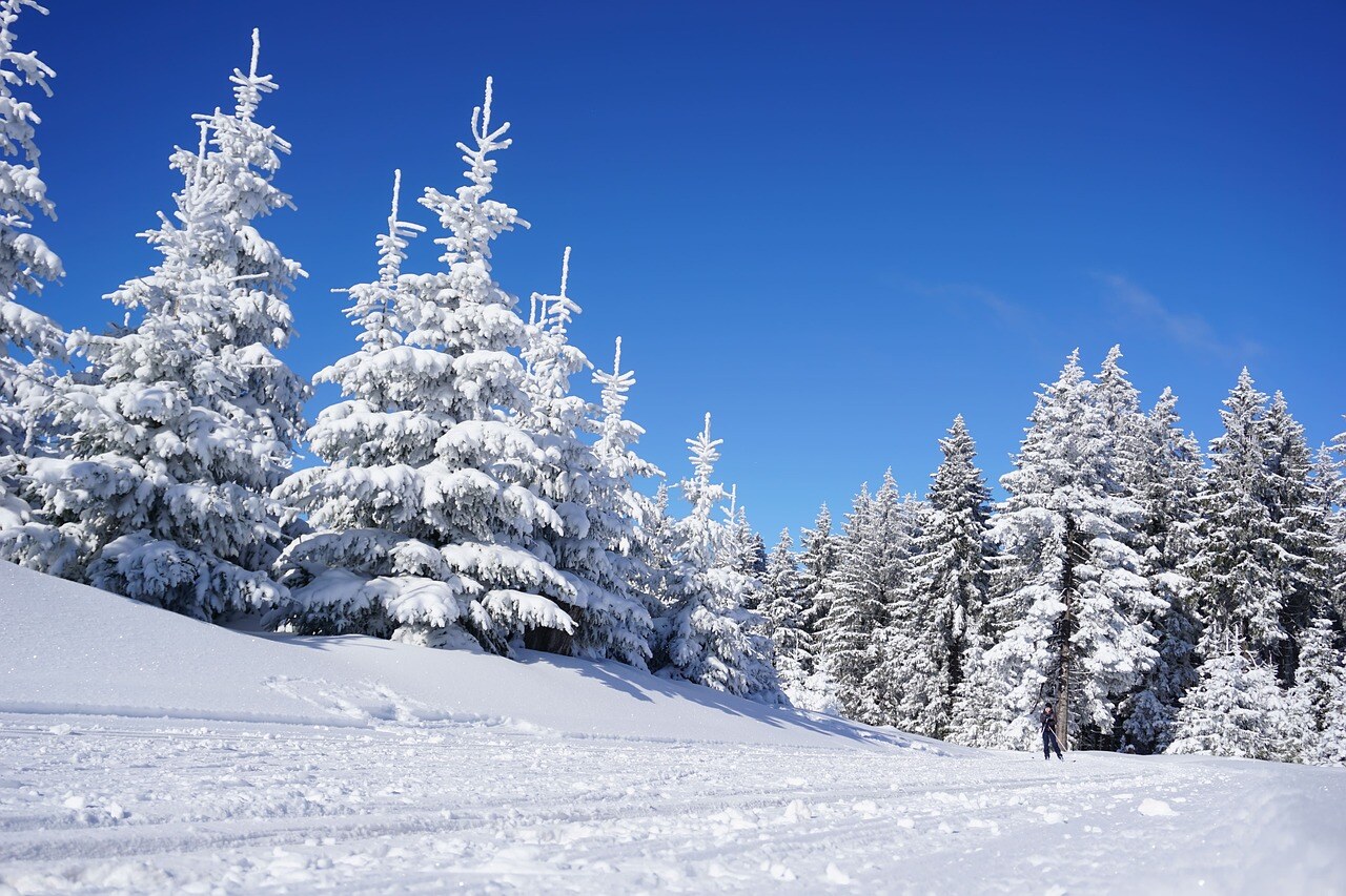 A Colorado mountain garden under winter snow