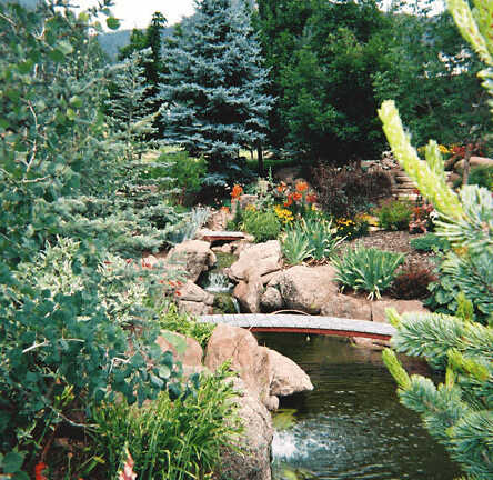 Koi Pond & Spaces: Outdoor rooms gathered around a koi pond