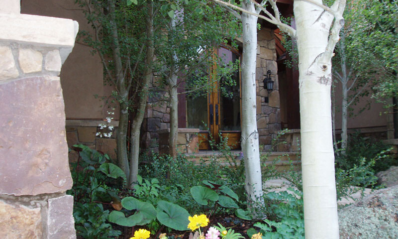 Mountain Tranquillity Garden: Private solace from the city pace