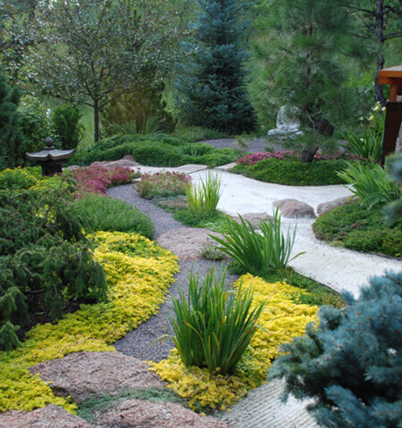 Tranquillity Corner: A Japanesque garden