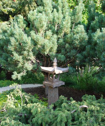 Tranquillity Corner: A Japanesque garden