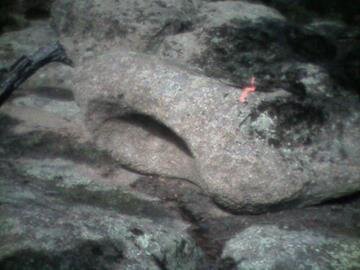 Garden Boulder #3