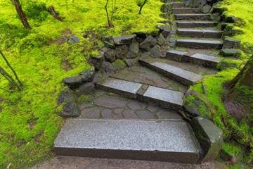 Original photograph from October 2017- Garden Paths
