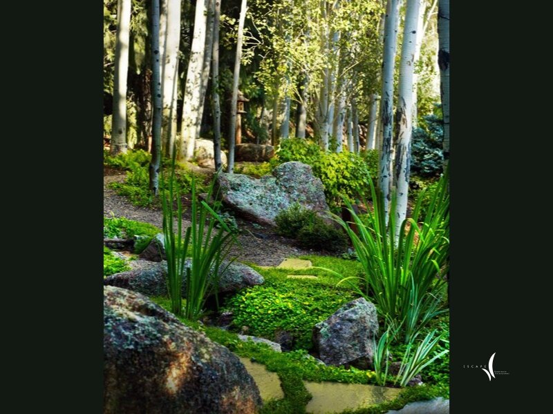 Original photograph from Mystical Waters - 2010 ALCC Grand Award Winner