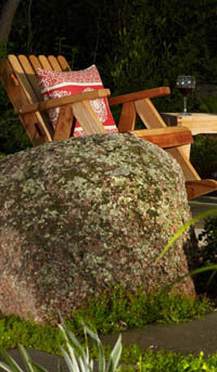 Original photograph from If a Garden were A Wine