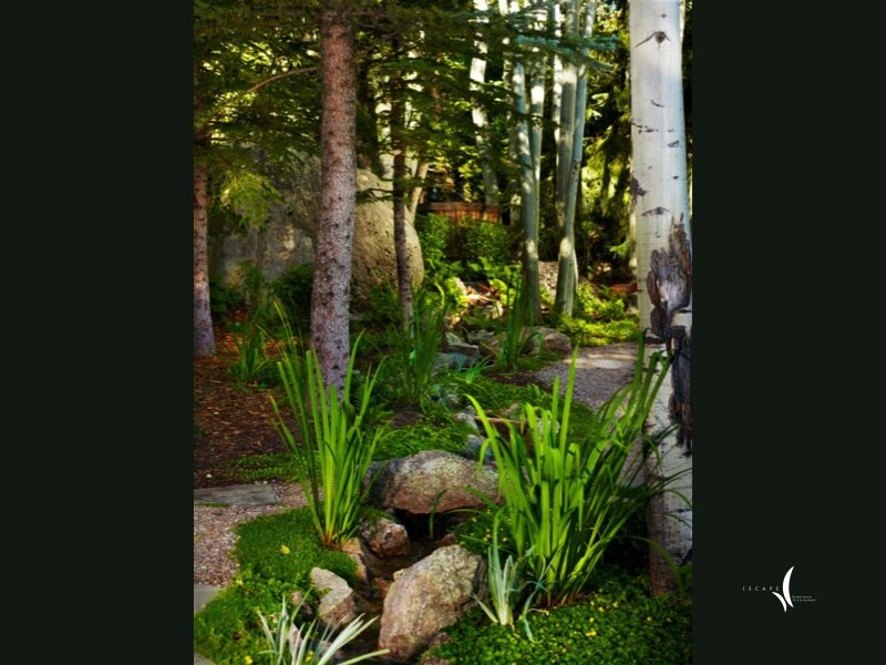 Original photograph from Mystical Waters - 2010 ALCC Grand Award Winner