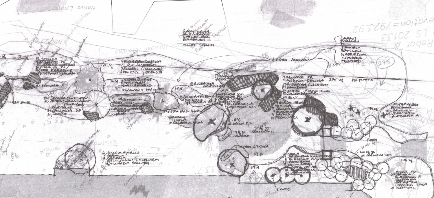 Butterfly Garden Planting Plan