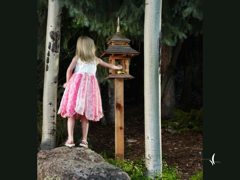 Original photograph from Mystical Waters - 2010 ALCC Grand Award Winner