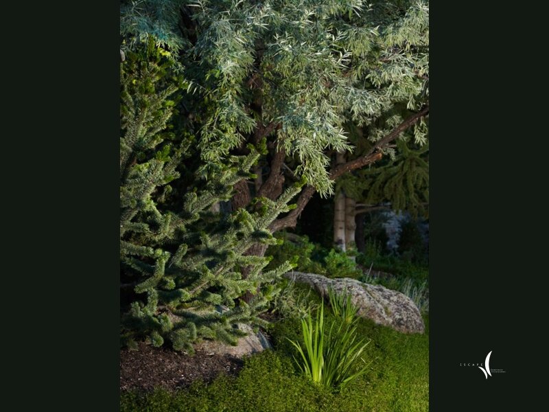 Original photograph from Mystical Waters - 2010 ALCC Grand Award Winner