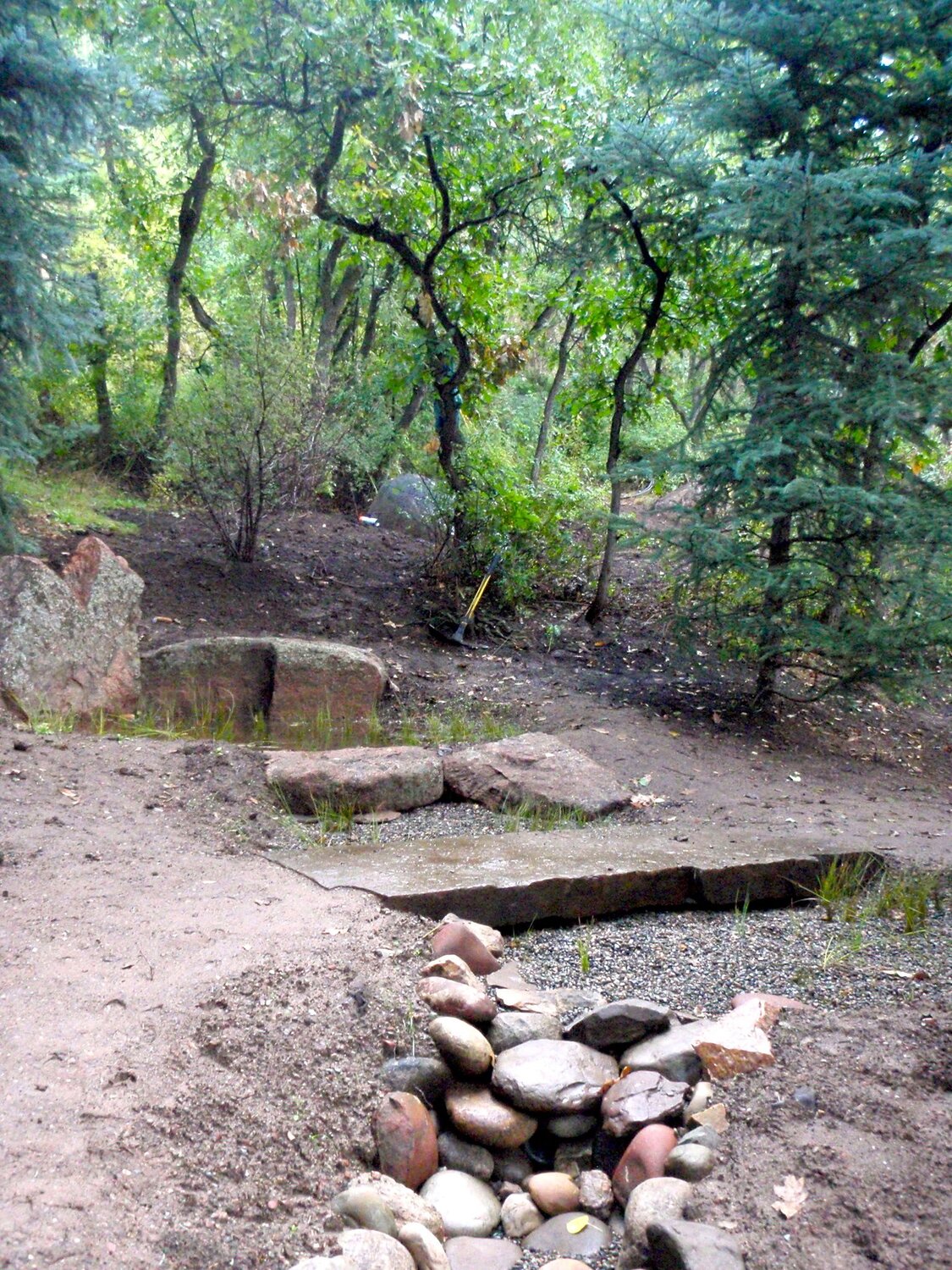 Constructed Wetland