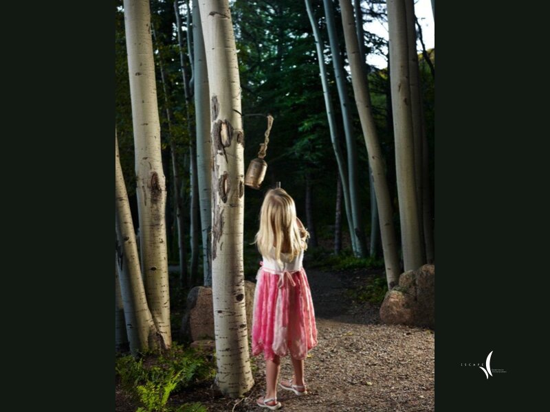 Original photograph from Mystical Waters - 2010 ALCC Grand Award Winner