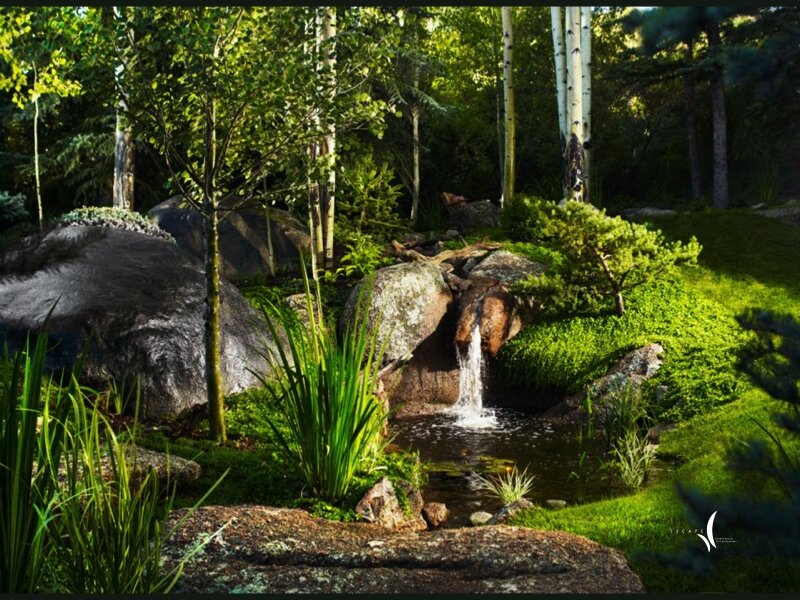 Original photograph from Mystical Waters - 2010 ALCC Grand Award Winner