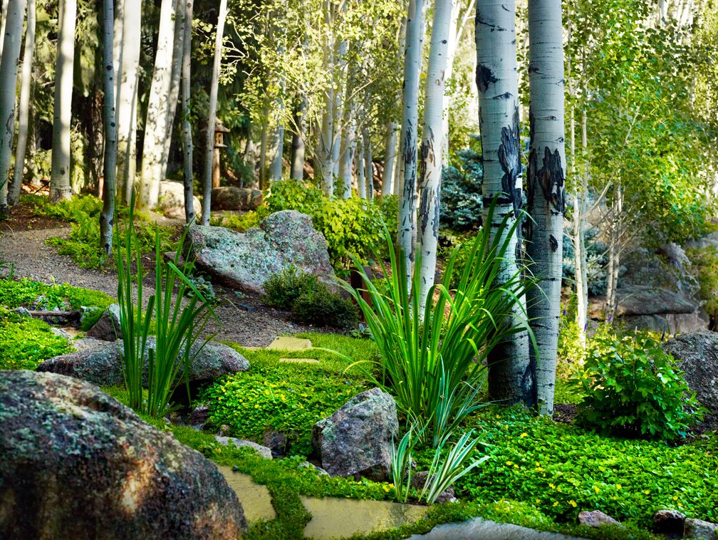 Mystical Waters: Garden rooms with a tranquil feel