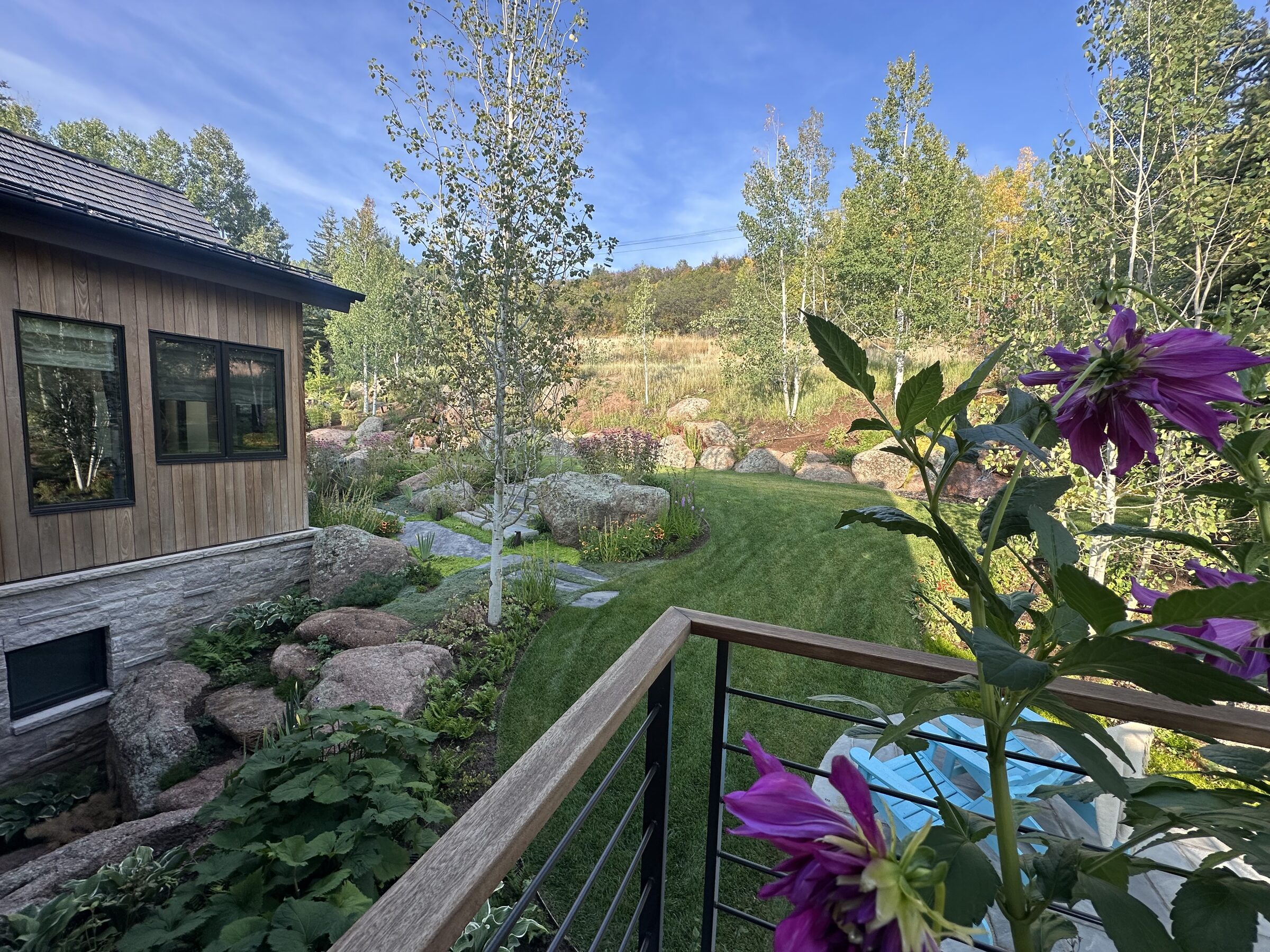 A lush Colorado mountain garden in summer