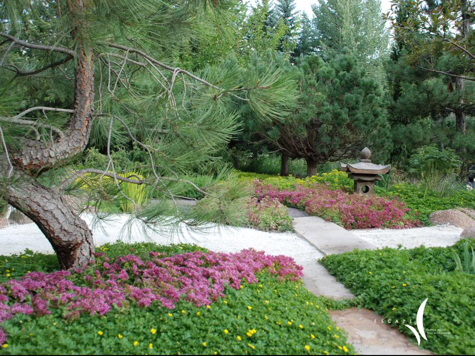 A high-country garden in spring