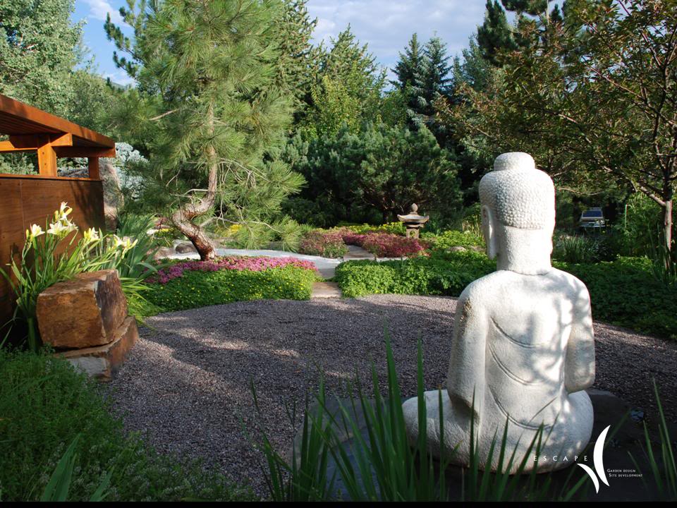 A high-country garden in spring