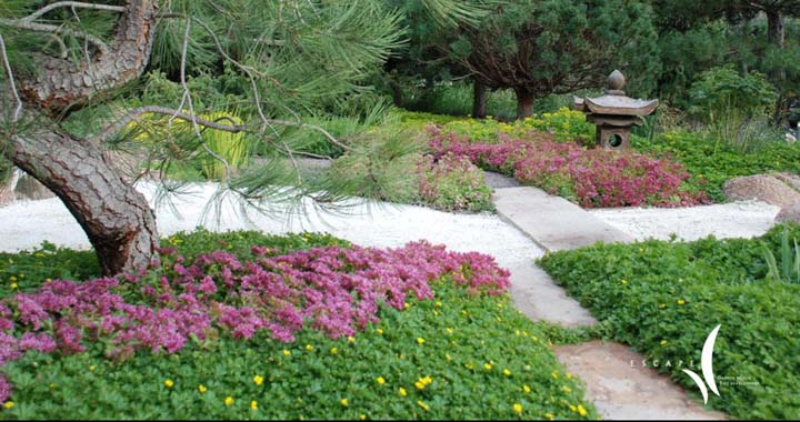A high-country garden in spring