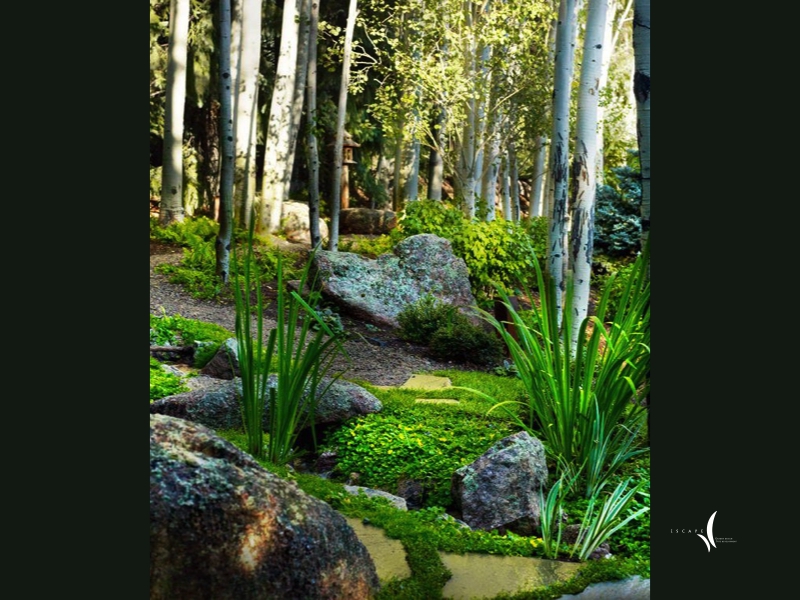 A lush Colorado mountain garden in summer