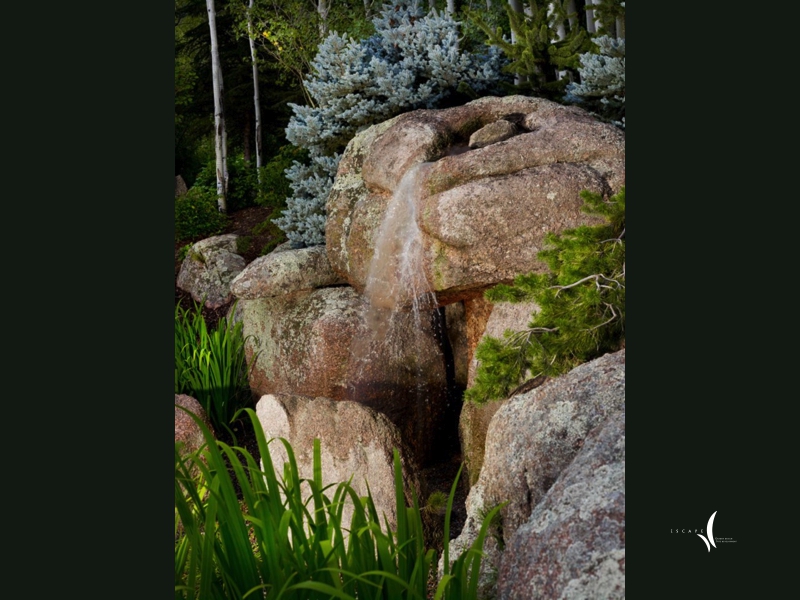 A lush Colorado mountain garden in summer