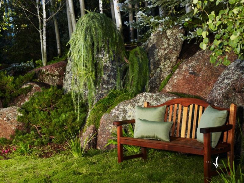 A lush Colorado mountain garden in summer