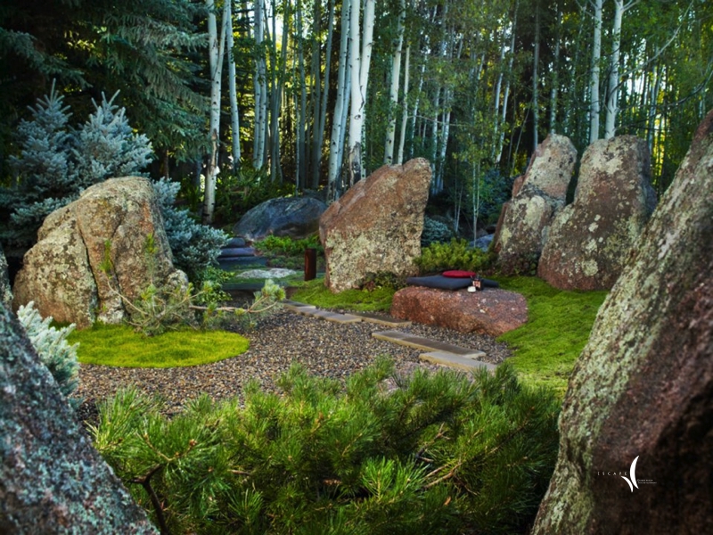 A high-country garden in spring