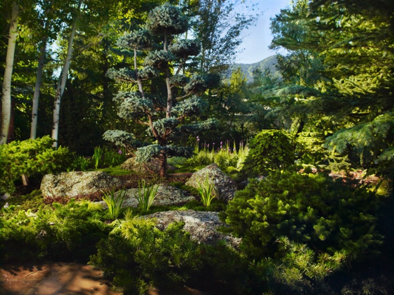 A high-country garden in spring