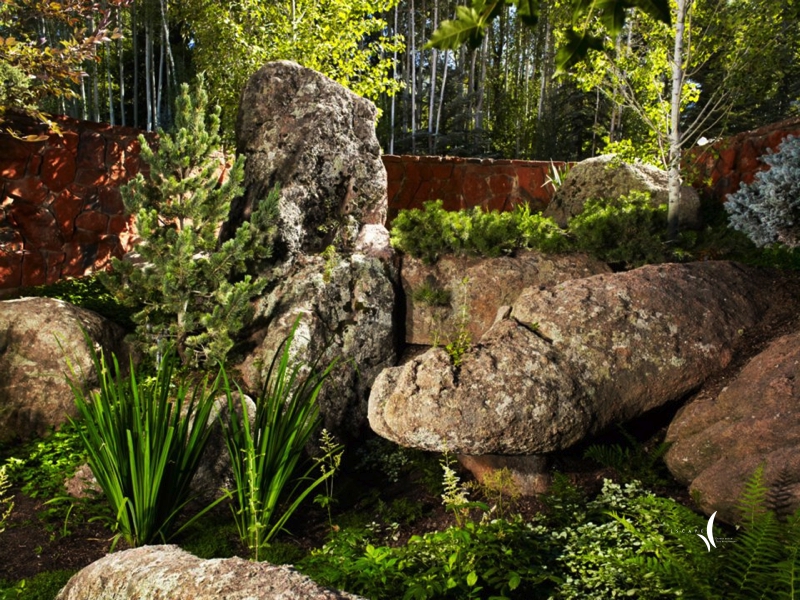 A lush Colorado mountain garden in summer