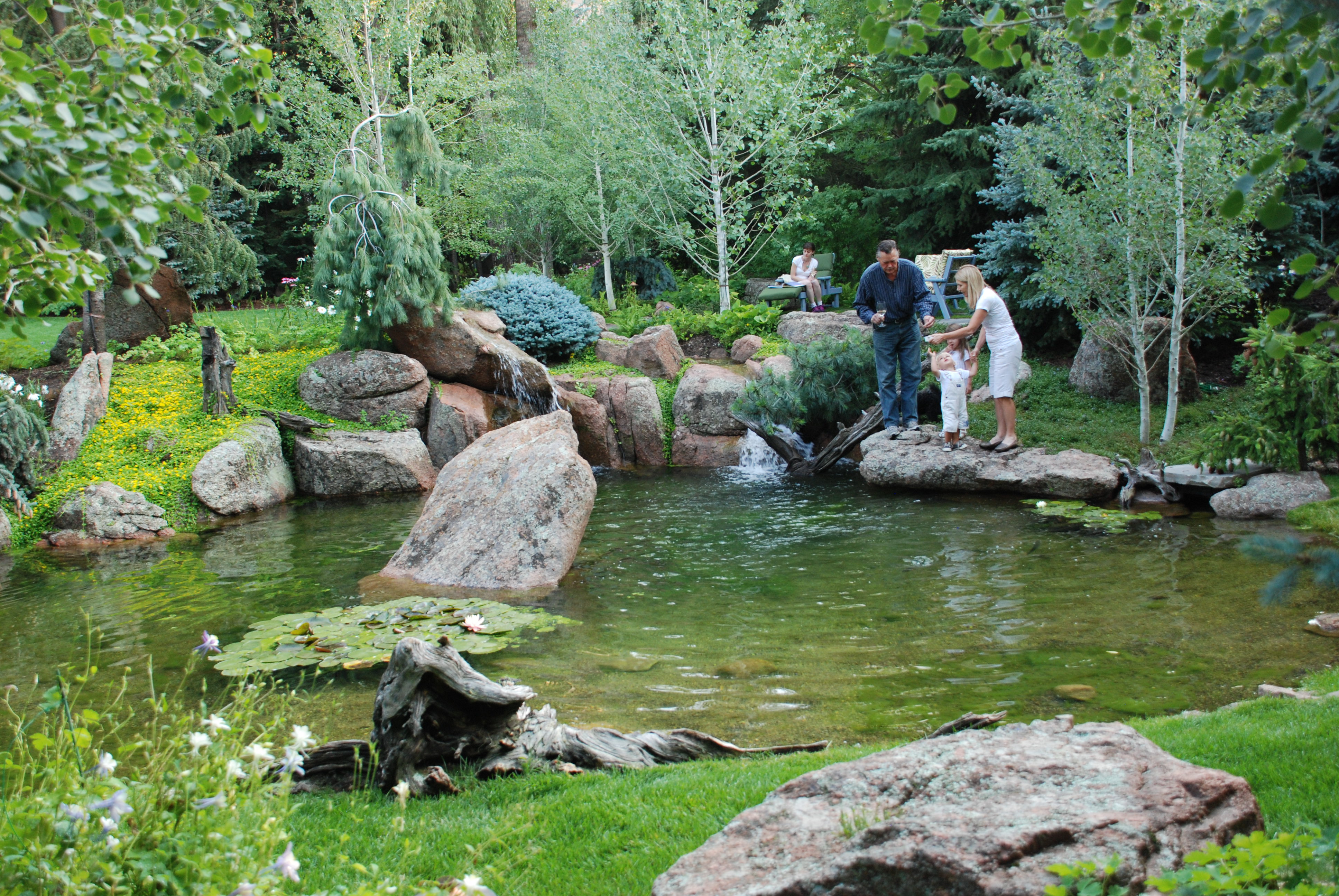 Woodland Pond: A subtle overlay of gardens and water