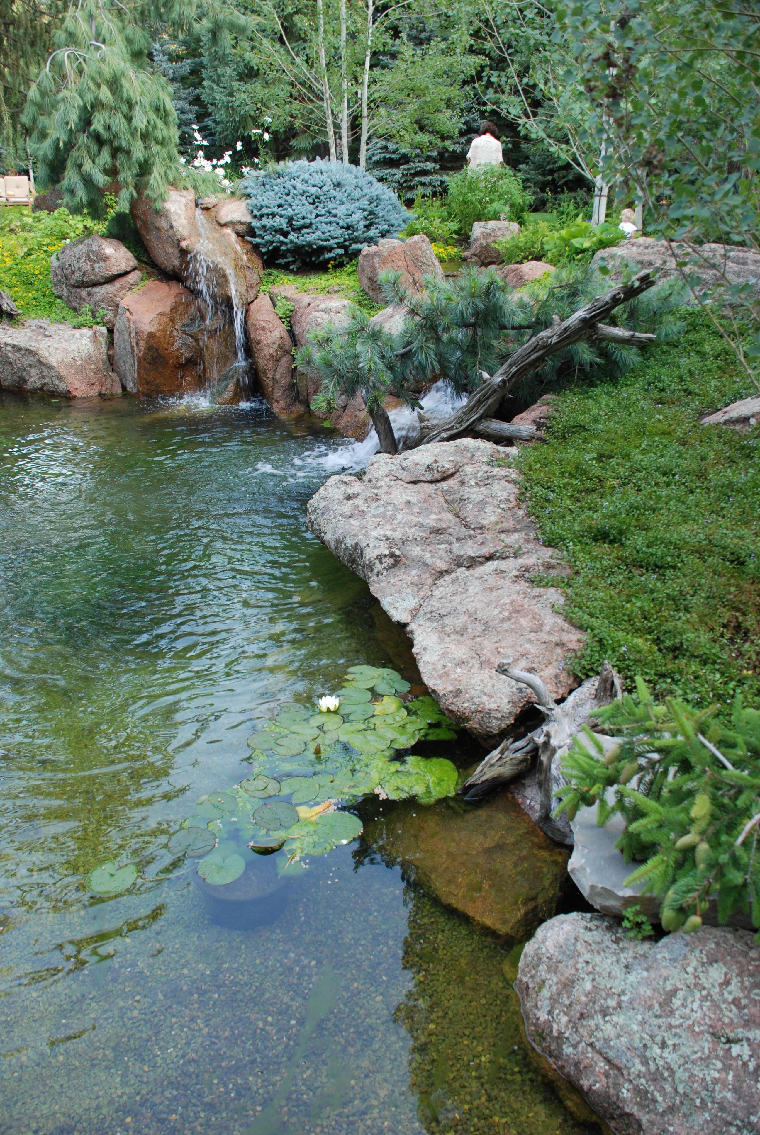 A shaded stream running through green plantings