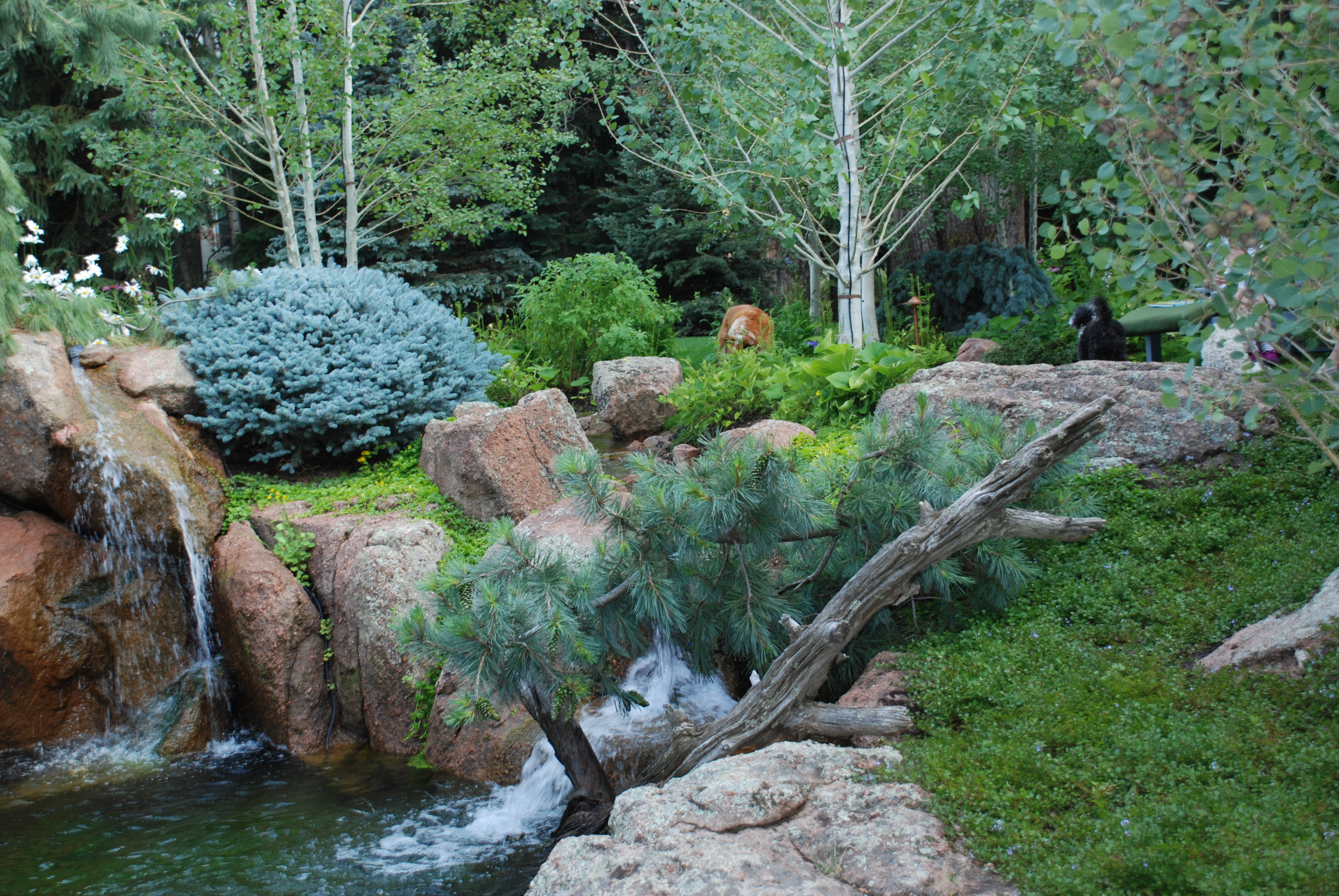 Woodland Pond: A subtle overlay of gardens and water