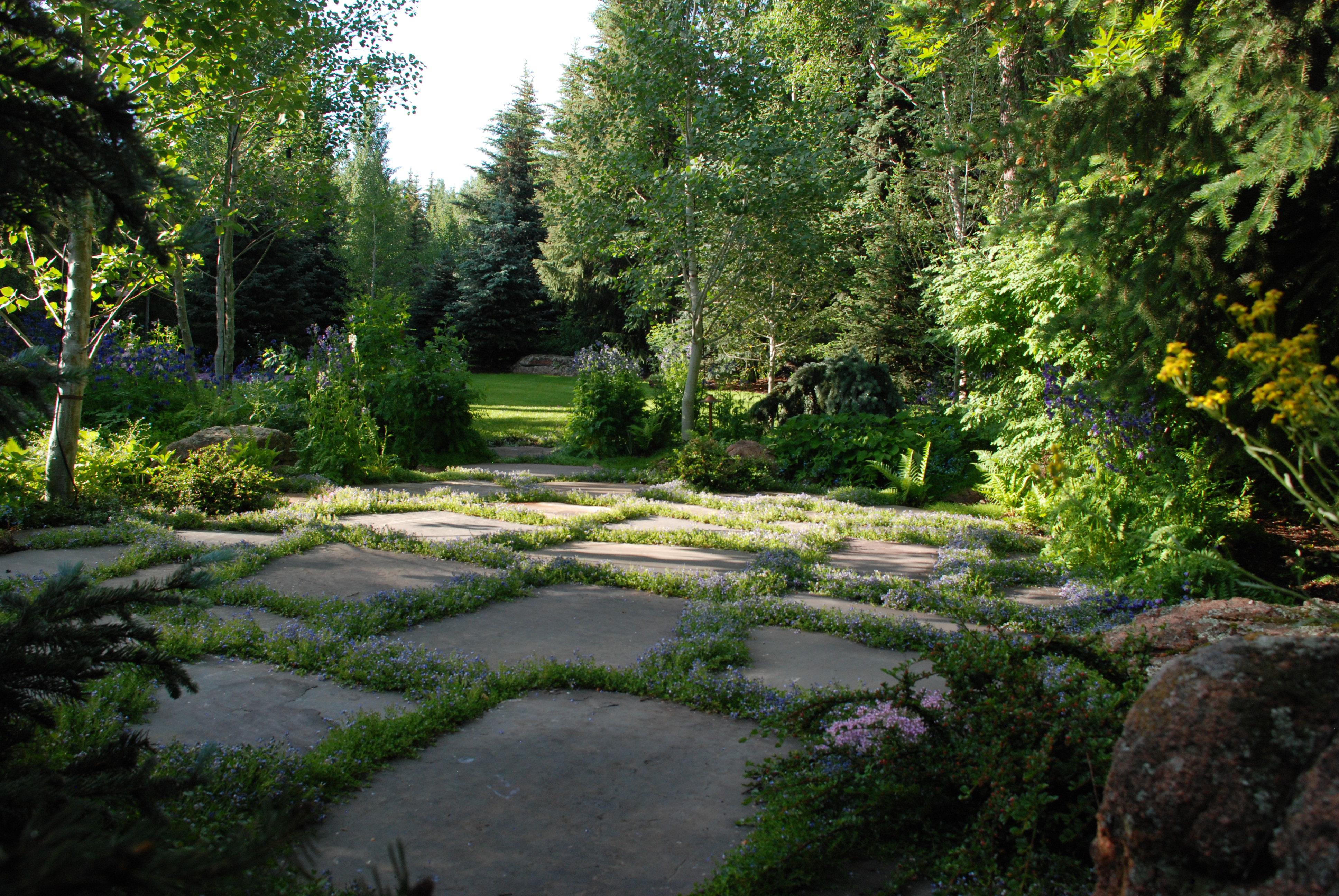 Woodland Pond: A subtle overlay of gardens and water