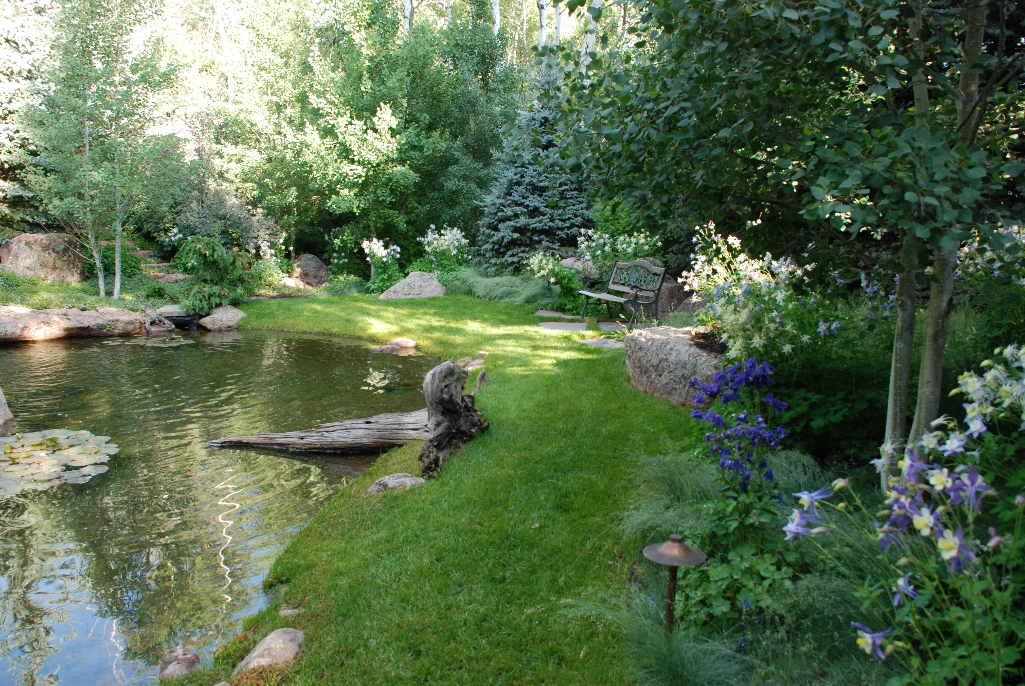 Woodland Pond: A subtle overlay of gardens and water