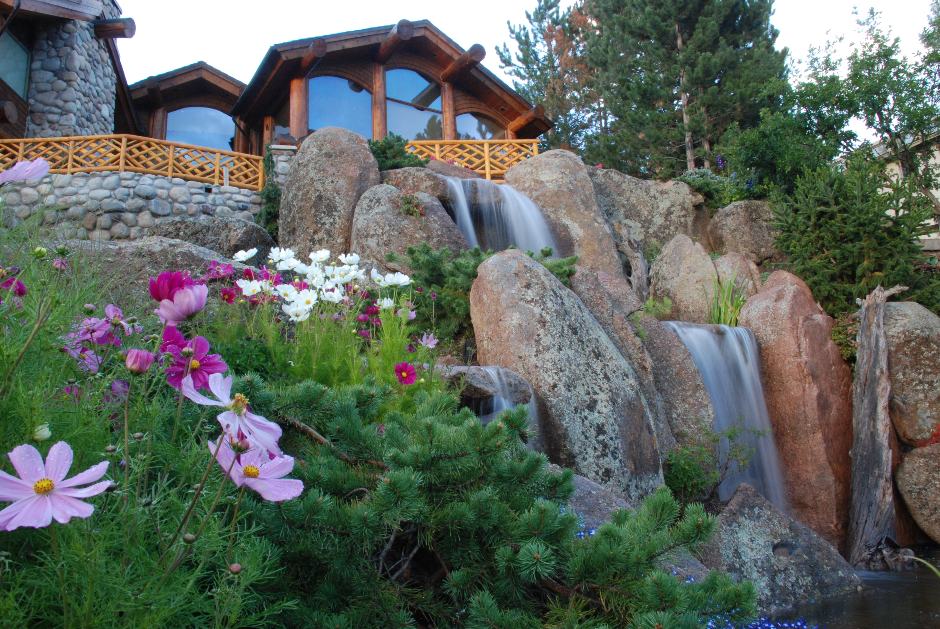 Waterfall and cosmos flowers in a summer mountain garden