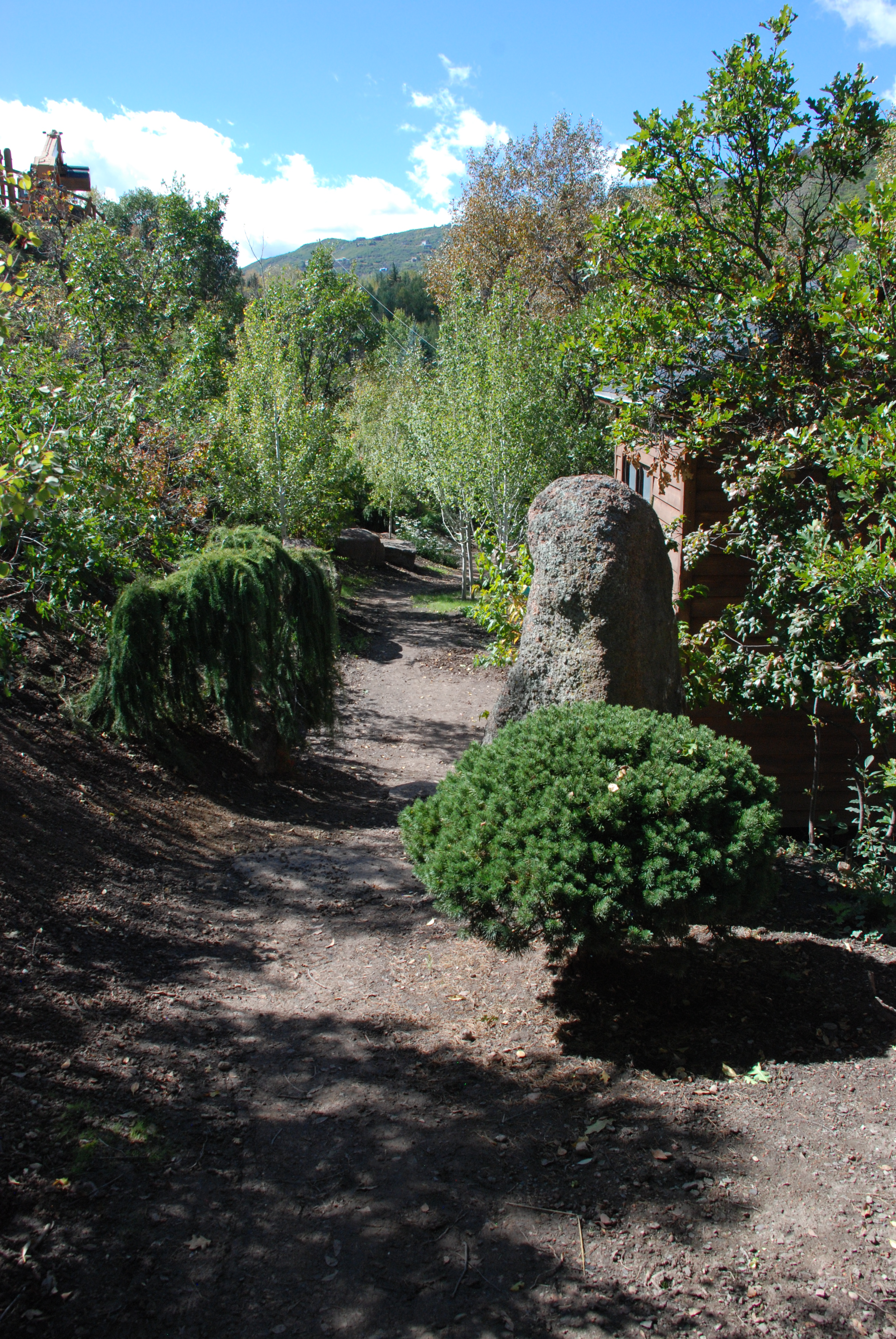 A stone garden path winding through plantings
