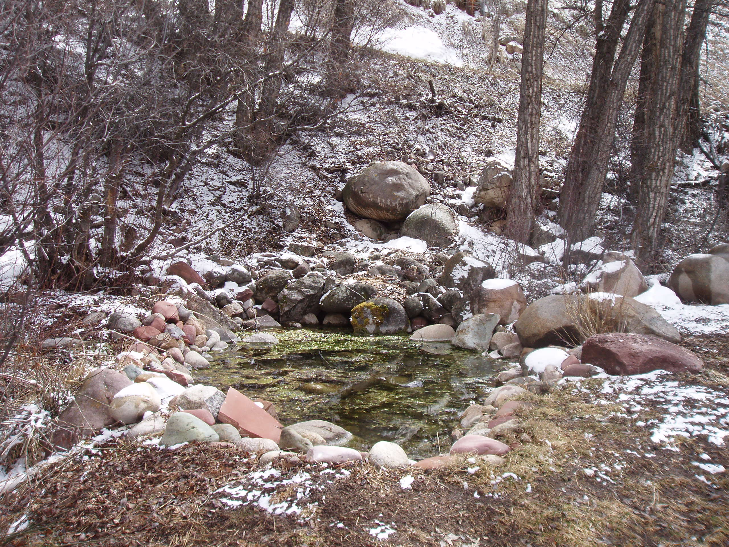 A garden pond emerging from late-winter snow